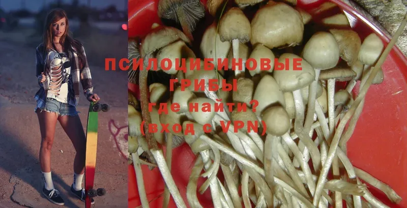 Галлюциногенные грибы MAGIC MUSHROOMS  Дятьково 